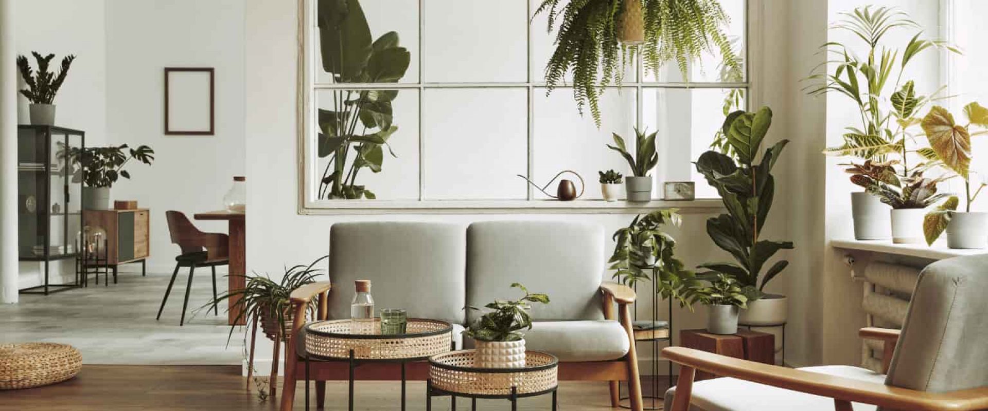Incorporate Plants For Eco-Friendly Home Staging